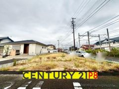 現地写真