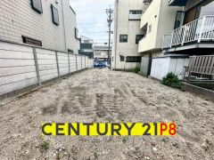 現地写真