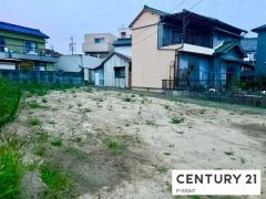 現地写真