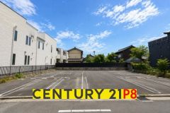 現地写真