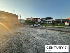 現地写真