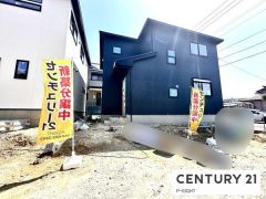 現地写真