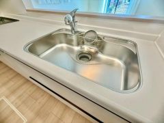 浄水器付き水栓